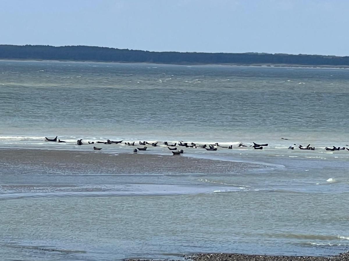 Plage à 50m Appartement Rêves tranquilles Villa Les Bains de Mers Esterno foto